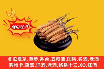 吉安市青原名酒回收冬虫夏草.jpg